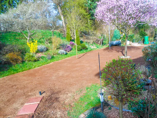 Neu angelegter Garten mit Weg und blühenden Bäumen